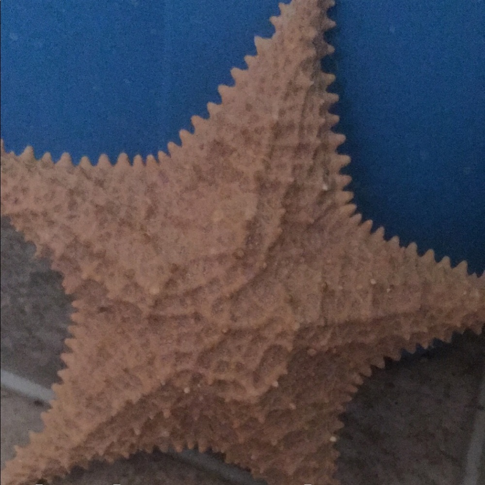 decor